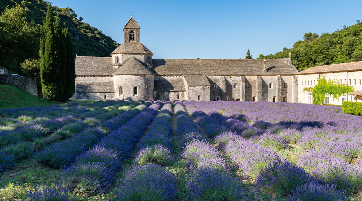The lavender field at Sénanque Abbey